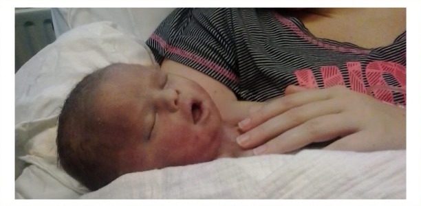 Uitvergroot | Vajen Zeeman